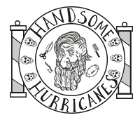 Handsome Hurricanes team badge